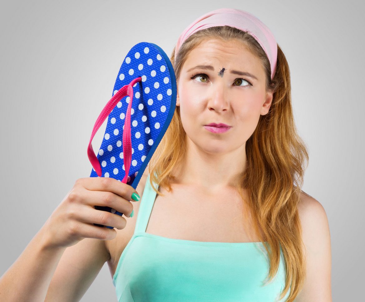 Acaba con los insectos o roedores de tu hogar