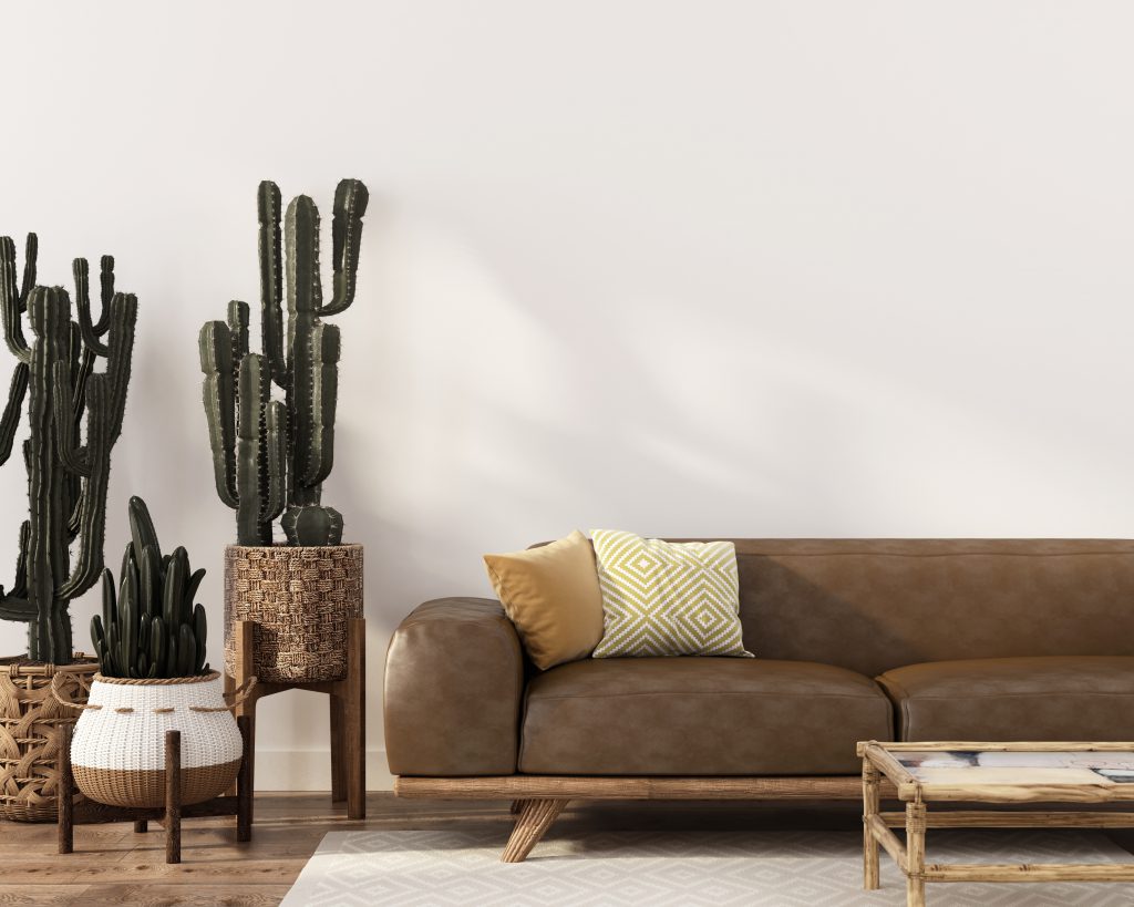 Decora tu casa con cactus! 